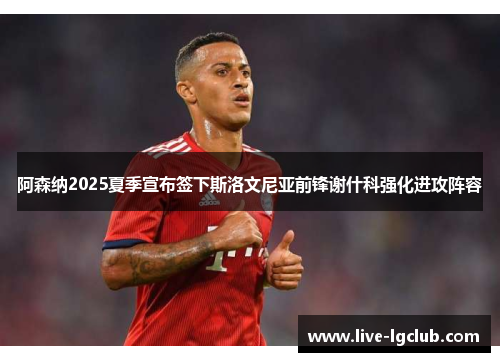 阿森纳2025夏季宣布签下斯洛文尼亚前锋谢什科强化进攻阵容